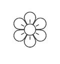 Icon 3